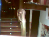 foto013