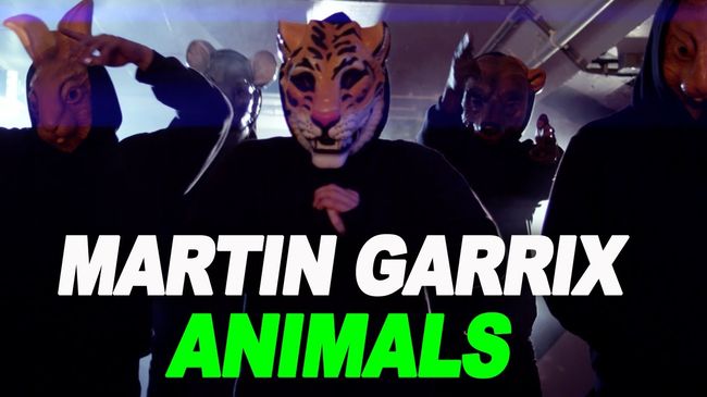 martin garrix animals