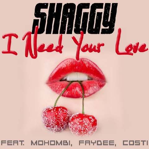 I-Need-Your-Love-Shaggy-Mohombi-Faydee-Costi